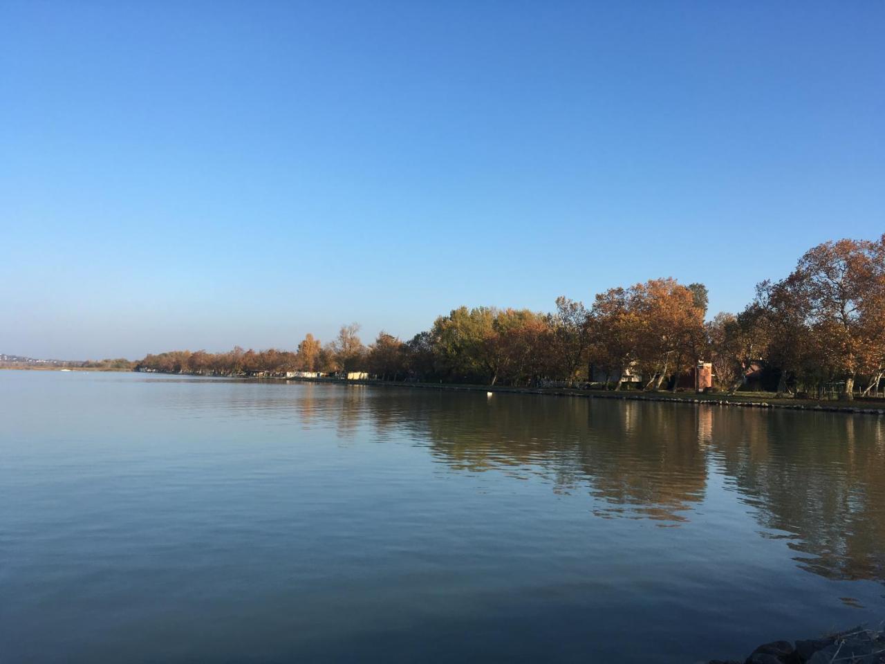 Balatoni Retro Villa Balatonfenyves Bagian luar foto